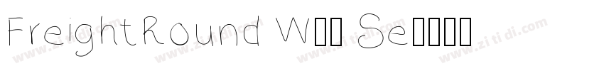 FreightRound W05 Se字体转换
